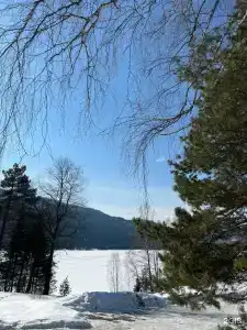 Телецкое Золотое - 87