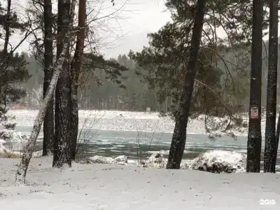 Пилот - 1