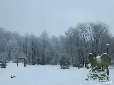 Эдельвейс - 39