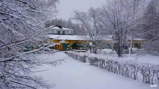 Мечта - 33