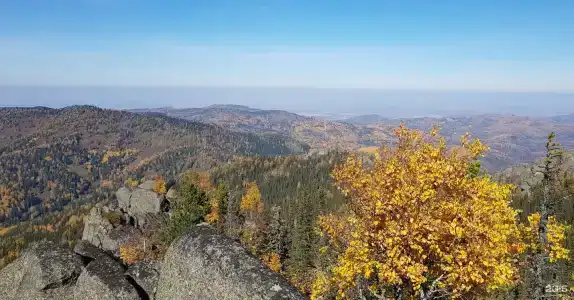 Усадьба Медовая - 9