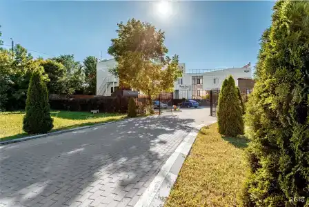 Белые Росы - 18