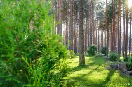 Калацкое - 76
