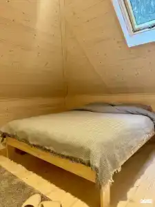Дом и Елки - 12