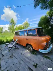 Hippy - 14