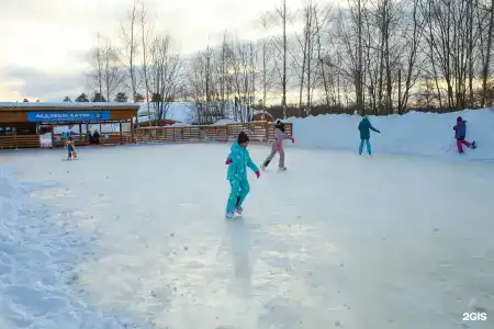 Усадьба Гребнево - 87