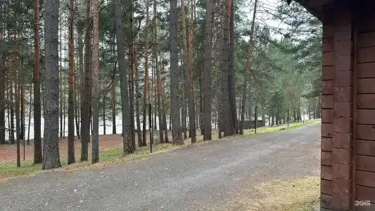 Пилот - 37