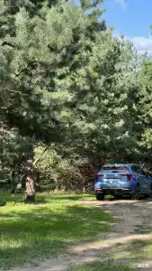 Грибная Находка - 18