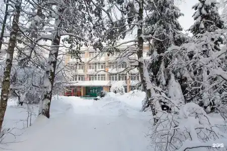 Переделкино - 59