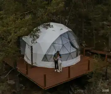 Грибная Находка - 19