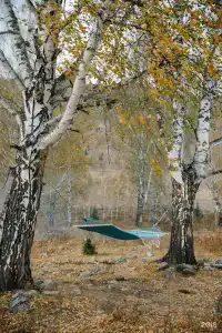 Белая гора - 11