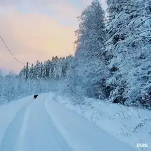 Хюгге - 30