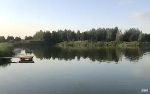 Дом у леса - 10