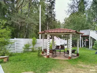 Шишки - 4