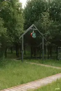 Дыши лесом - 33