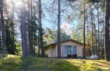 Окуневая - 49