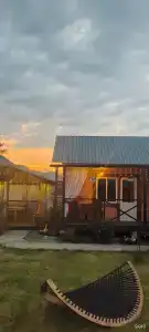 Цветы Алтая - 12