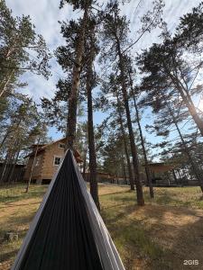 Forest home - 17