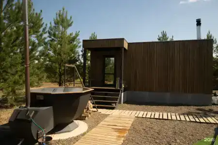 12 сосен - 1