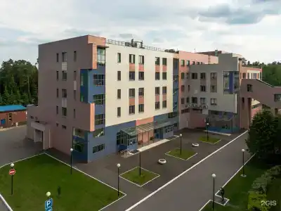 Подмосковье - 85