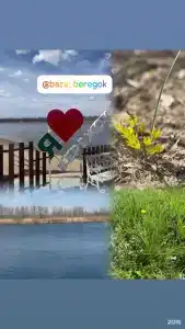 Бережок - 66