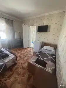 Алмаз - 10