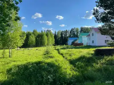 Новая Ельня - Мельница - 7