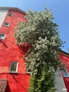 Виктория - 0