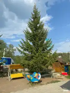 Эдельвейс - 67