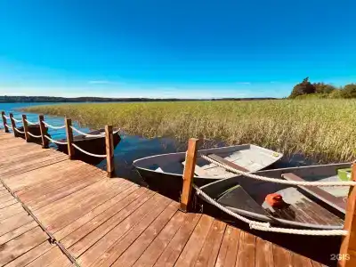 Александровская - 20