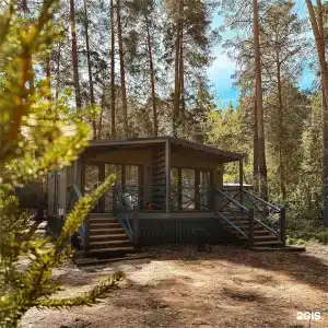 Лесники - 1