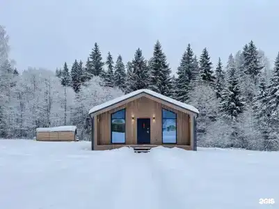 Хвойный Лес - 16