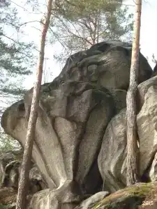 Гостиничный комплекс Загорье - 107