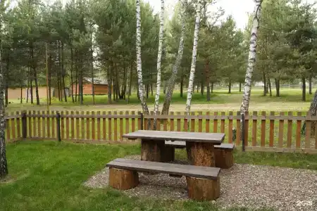 Золотой Куркозель - 15