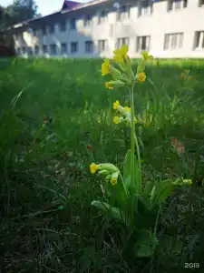 Череха - 22
