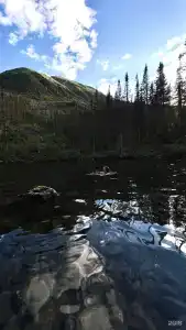Сиберия - 29