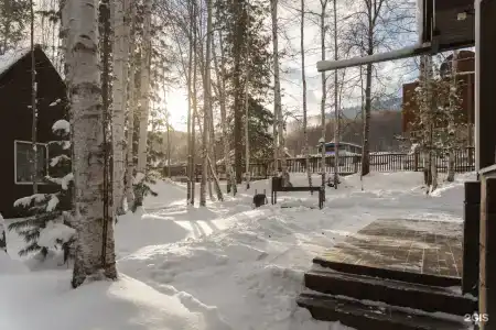 Белый соболь - 38