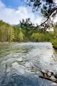 Усадьба на Чемалке - 16