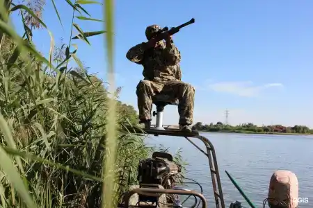 Зюйд-вест - 126