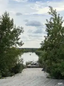Гнездо - 30