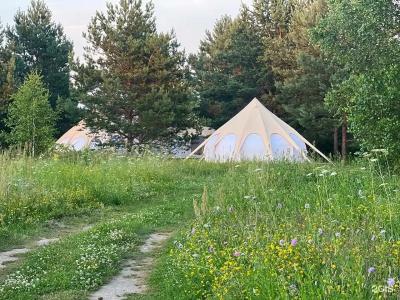 Грибная Находка - 8