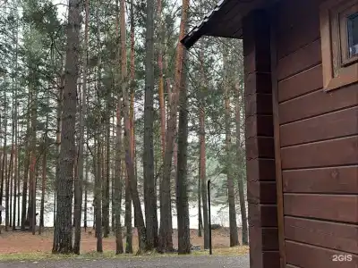 Пилот - 33
