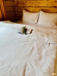 Софийская поляна - 28