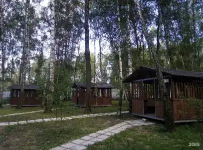 Золотая рыбка - 49