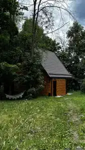 Алмаз - 2
