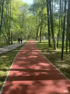 Садко - 31