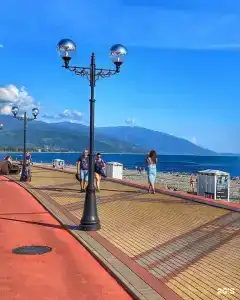 Sunny day - 50