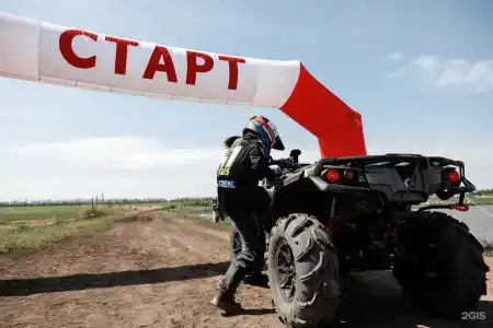 Феникс - 40