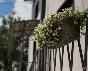 В гостях у Эмилии - 23