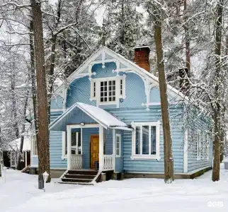 Vyritsa Village - 38